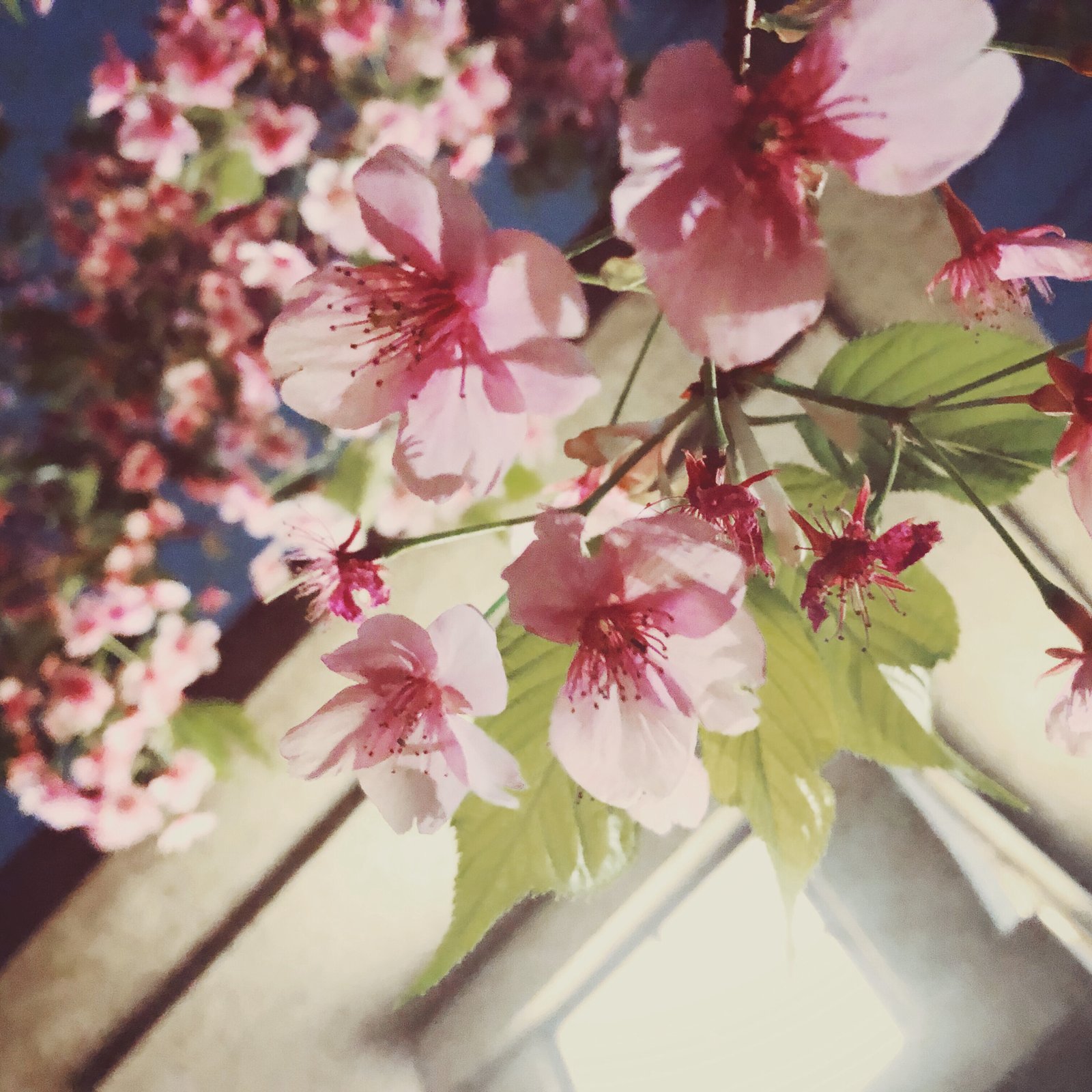 Photograph, 2019.03