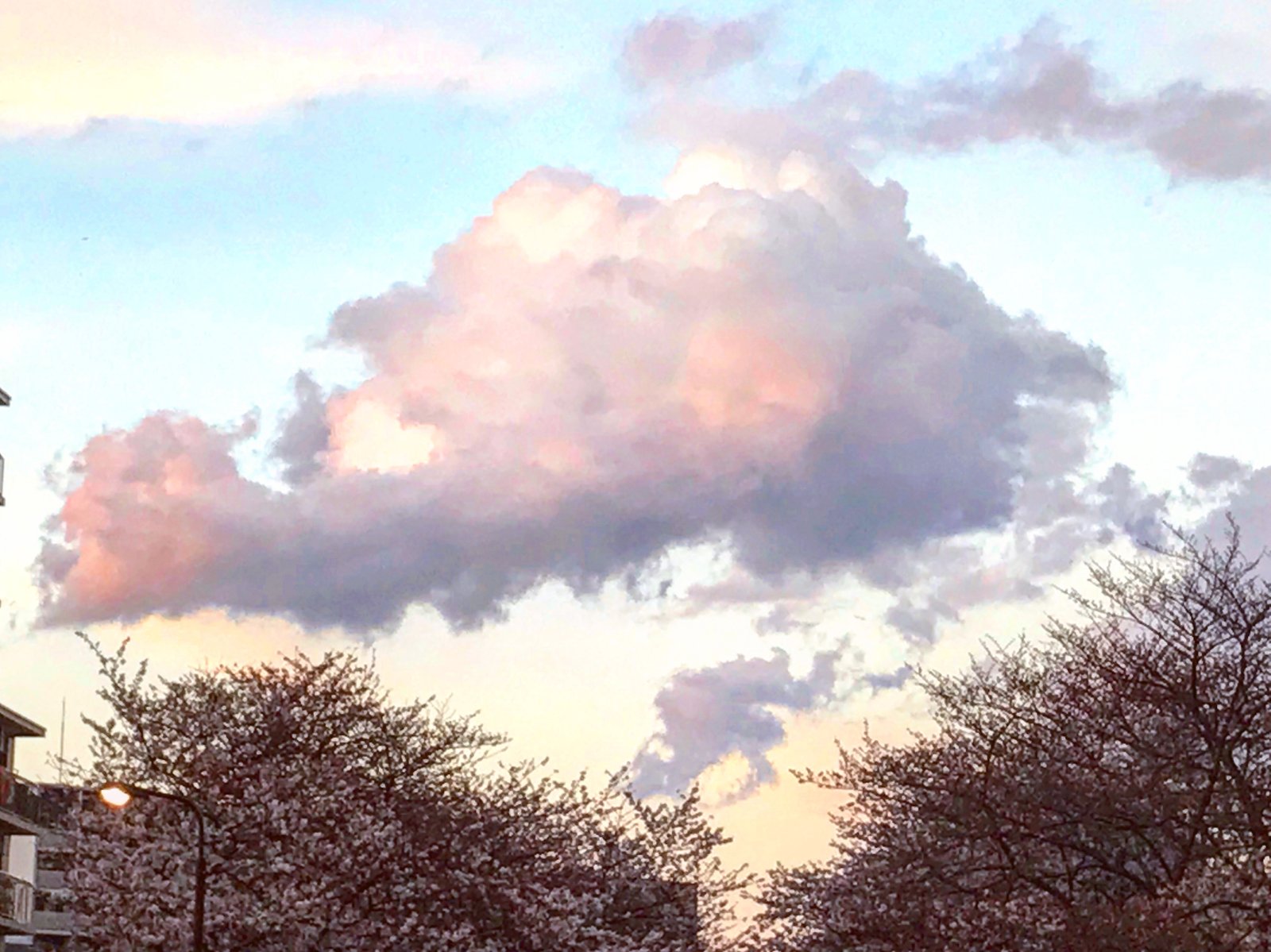 Photograph, 2019.03